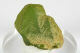Green Olivine Peridot Crystal - Pakistan #183947-2